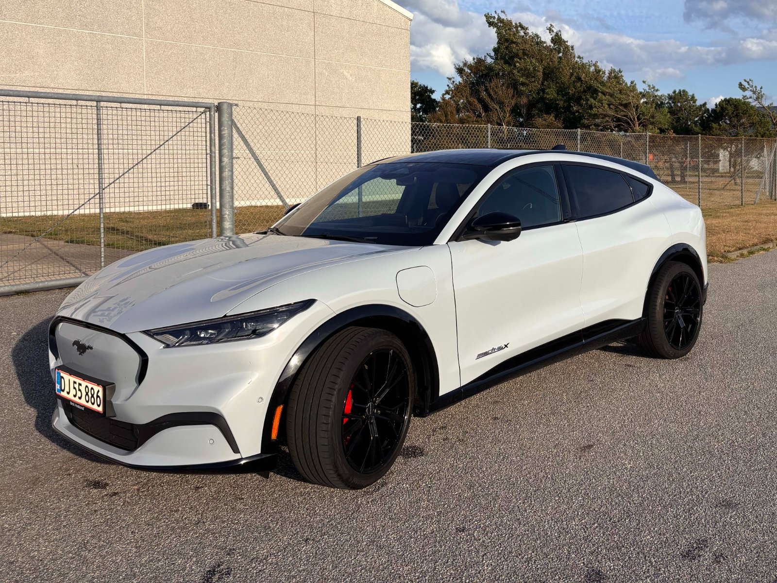 Ford Mustang Mach-E Long Range AWD, 351ps, 2022